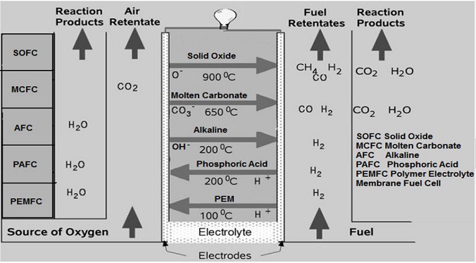 what-is-fuel-cell-types-of-fuel-cell